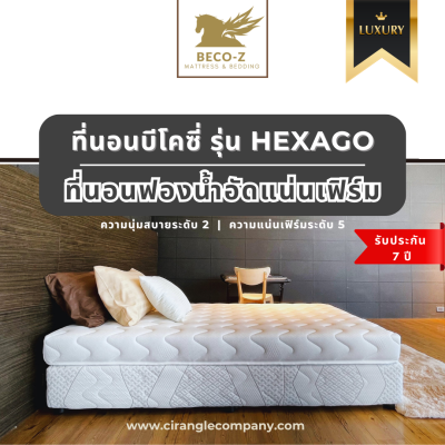 ที่นอนยางพารา เมมโมรี่โฟม ฟองน้ำ ยาง PE (ไม่มีสปริง)