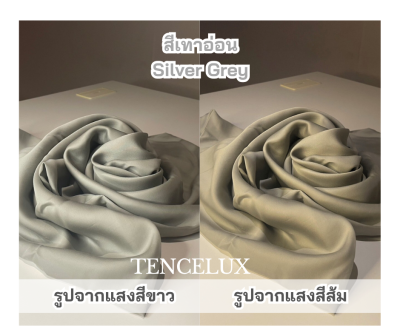 TENCELUX เครื่องนอน Premium ผ้าเทนเซล