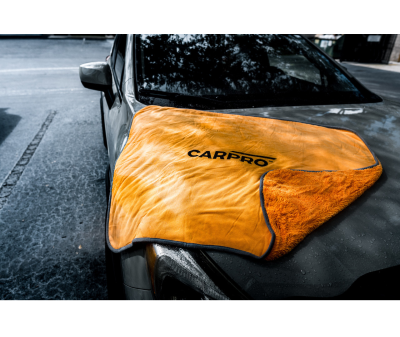 CARPRO DHydrate BOLD