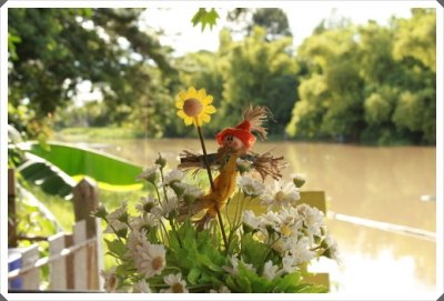 ความทรงจำบ้านหลังเดิม - ท่าจีนริเวอร์โฮม