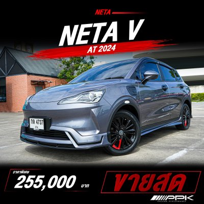 2024 Neta Neta V 0.0  Hatchback