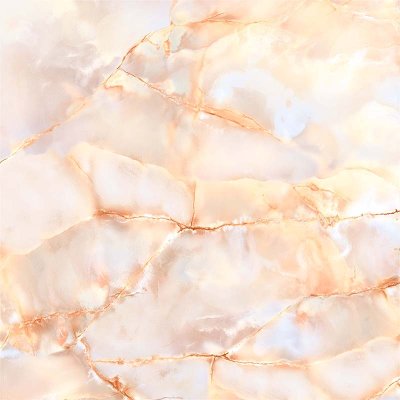 คาร์เนชั่น CARNATION