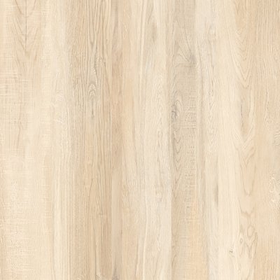 บีช กลอสซี่ BEECH GLOSSY