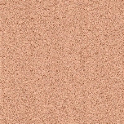 ฟอสเตอร์ส้ม FOSTER ORANGE