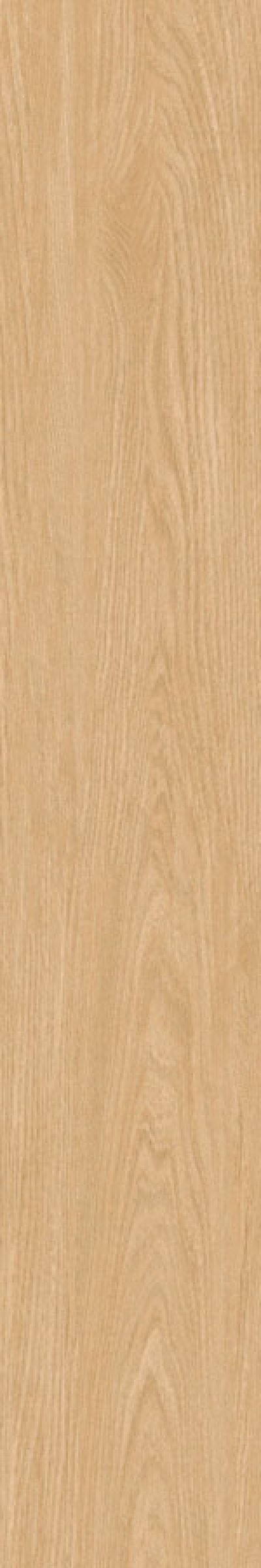 สตริป ทาทามิ STRIP TATAMI