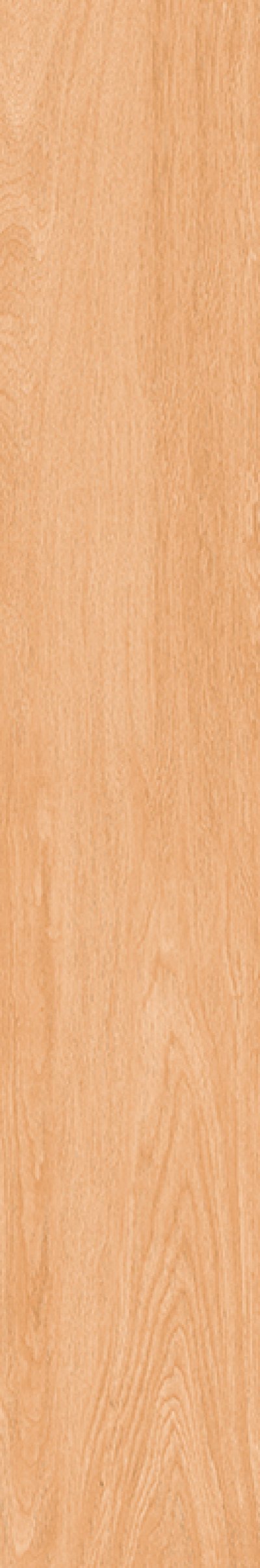สตริป เดลาลัส บราวน์ STRIP DAELALUS BROWN