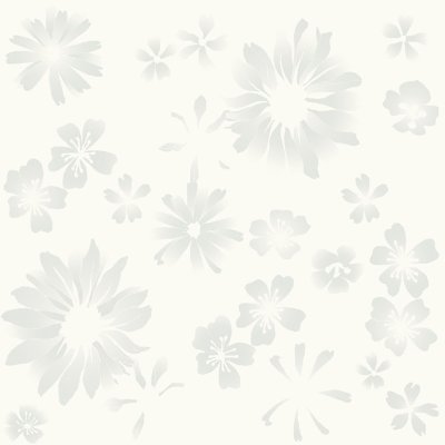 มีร่าขาว MEERA WHITE มีร่าขาว MEERA WHITE