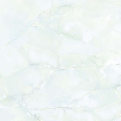 คาร์เนชั่นไวท์ CARNATION WHITE