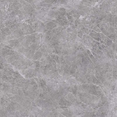 บัสเตอร์ เกร (AS) BUSTER GREY (AS) บัสเตอร์ เกร (AS) BUSTER GREY (AS)