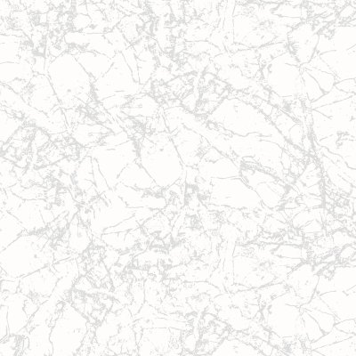 พาราไดซ์ PARADISE พาราไดซ์ PARADISE