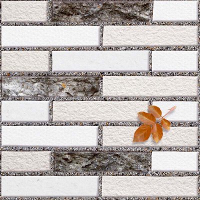 ภาคินแบล็ค PAKIN BLACK ภาคินแบล็ค PAKIN BLACK