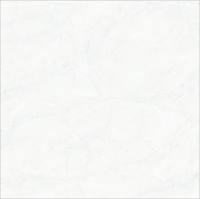 หยาดน้ำค้างขาว YHARDNAMKANG WHITE