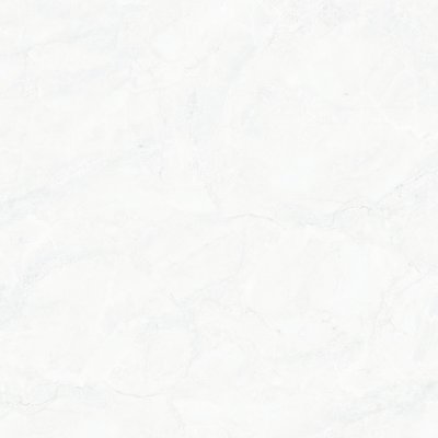 หยาดน้ำค้างขาว YHARDNAMKANG WHITE