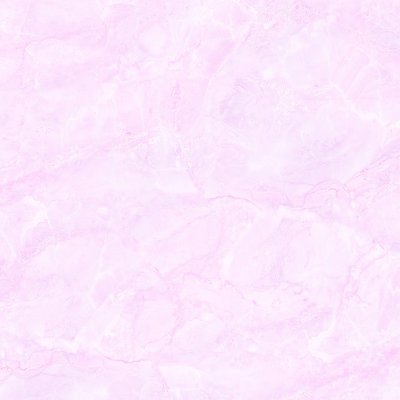 หยาดน้ำค้างชมพู YHARDNAMKANG PINK