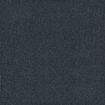 เฟสต้า แบล็ค FESTA BLACK