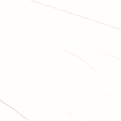 ราเว่น ไวท์ RAVEN WHITE ราเว่น ไวท์ RAVEN WHITE