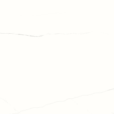 ราเว่น ไวท์ RAVEN WHITE ราเว่น ไวท์ RAVEN WHITE