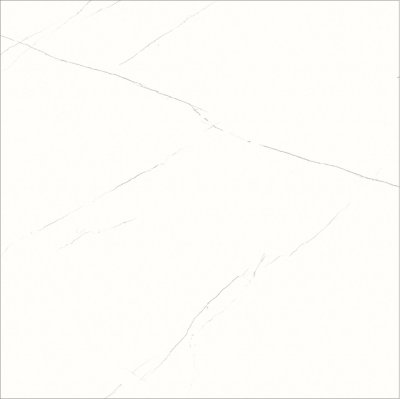 ราเว่น ไวท์ RAVEN WHITE ราเว่น ไวท์ RAVEN WHITE