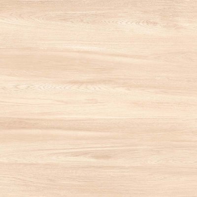 อาลาโม ALAMO