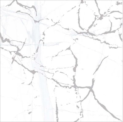 ดัชชี่ DUTCHY ดัชชี่ DUTCHY