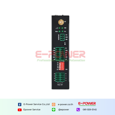 Cellular M2M IoT RTU (2DIN,2AIN/PT100,2Relay,1TH,USB)