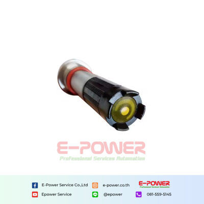 Remond Residual Chlorine Analyzer FCL Sensor