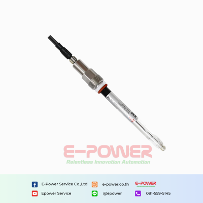 Rika RK500-12 Type-B3 Submersible pH Probe (High temperature environment）