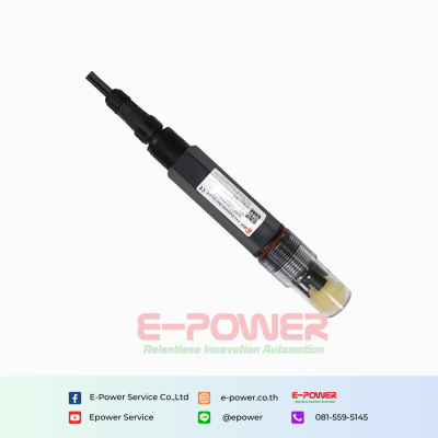 Rika RK500-12 Type-D2 Industrial pH Probe (seawater, industrial water)