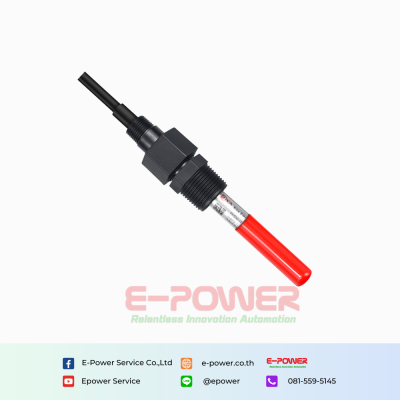 Rika RK500-13 Type-B Online Electrical Conductivity EC Sensor