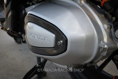 ครอบแคร๊งFORZA 350 (สับเดิม) | คาร์บอน