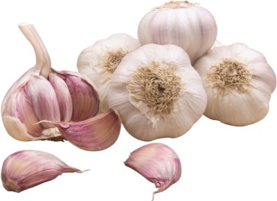 Fresh Garlic