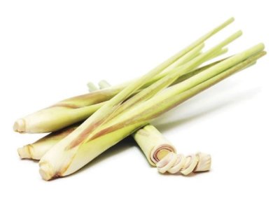 Fresh Lemongrass Fresh Lemongrass