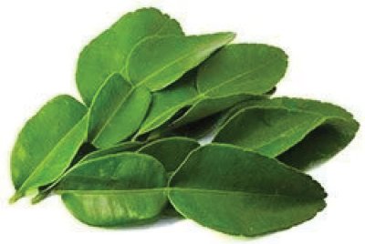 Fresh Kaffir Lime Leaves