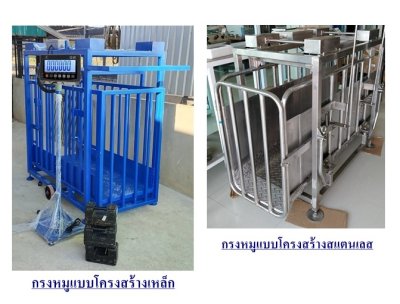 เครื่องชั่งน้ำหนักสัตว์