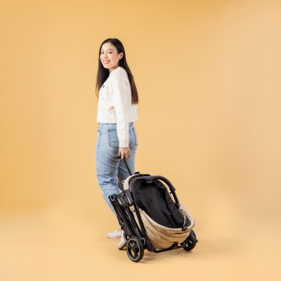 รถเข็นสัตว์เลี้ยงรุ่น Aero