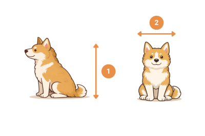 How to measure your pet