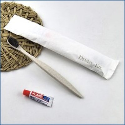 Dental Kit