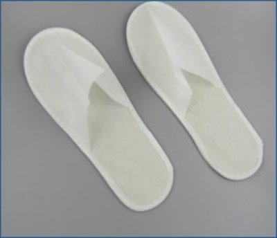 Slipper #2