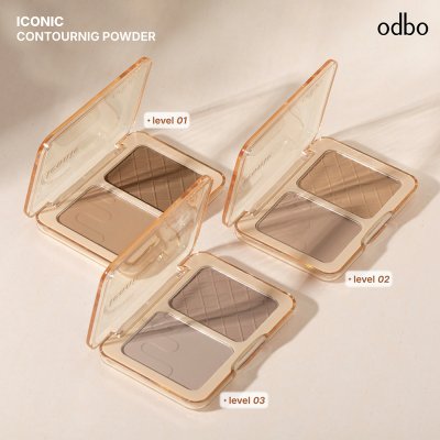 โอดีบีโอ ไอโคนิค คอนทัวริ่ง พาวเดอร์