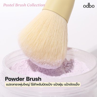 โอดีบีโอ พาสเทล บรัช คอลเลคชั่น โอดีบีโอ พาสเทล บรัช คอลเลคชั่น