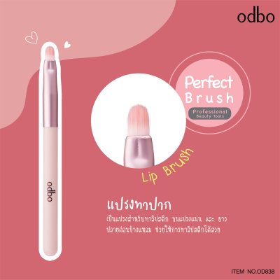 โอดีบีโอ เพอร์เฟค บรัช