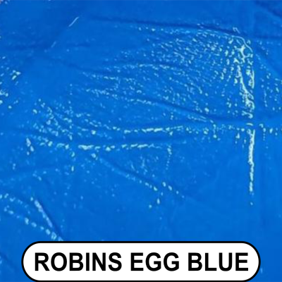 Robin's Egg Blue