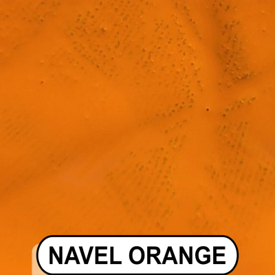 Navel Orange