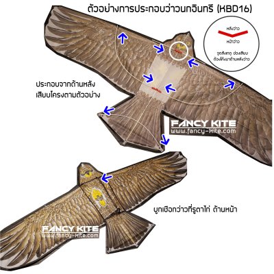 วิธีประกอบว่าวนก (โครงหลัง)