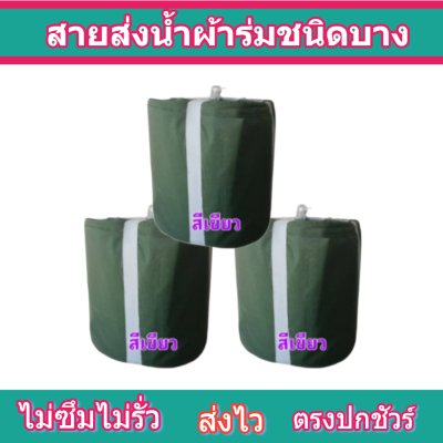 สายผ้าร่มเคลือบกันน้ำ F17  ยาว 40 เมตร หน้า 2 | 3 | 4 | 5 | 6 | 7 | 8 | สายผ้าท่อผ้าร่มเคลือบกันน้ำชนิดผ้าเบาบาง