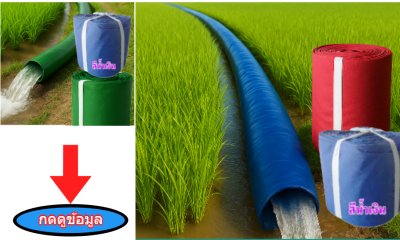 สายส่งน้ำผ้าร่ม TK สุโขทัย (รหัส-B-2)( หน้า 5 ) ( 100, เมตร (อีเว้นป๊อบ)  รายการลดราคา
