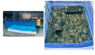 กระชังเลี้ยงกบ(KAB-3 ) ขนาด 3X3 เมตรพื้นล่างเป็นผ้าถุงลมนิรภัยอย่างดี