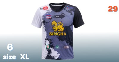 เสื้อยืด (AA-13) ผ้าพิมพ์ลายเป็นเนื้อผ้าที่มีเส้นใยสังเคราะห์ขนาดเล็กมาก