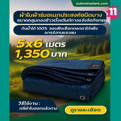 ผ้าใบผ้าร่มอเนกประสงค์ชนิดบางเบา  ขอบฝังเชือกตอกตาไก่  (สีกลมชุดที่ 2 ) 5X8,5X5X6,5X5,4.5X8,4.5X4.5X6
