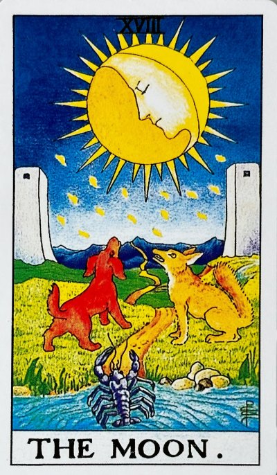 Tarot Card